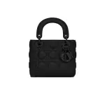 Mini Lady Dior Bag