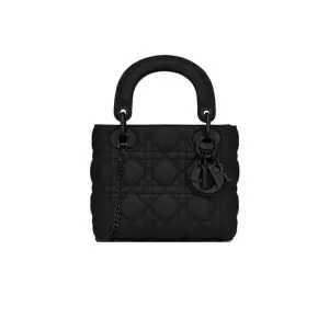Mini Lady Dior Bag