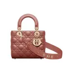Small Lady Dior My Abcdior Bag