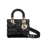Small Lady Dior My Abcdior Bag