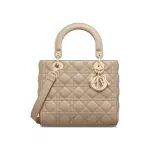 Medium Lady Dior Bag