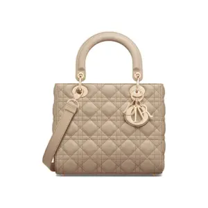 Medium Lady Dior Bag