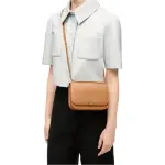 Small Goya bag in silk calfskin