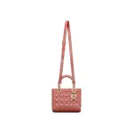 Medium Lady Dior Bag