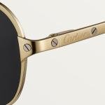 Santos de Cartier sunglasses