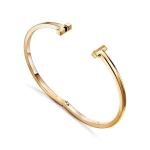 T1 Narrow Hinged Bangle